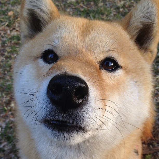 中国男篮内部对抗赛激烈 教练组现场指导,中国男篮教教