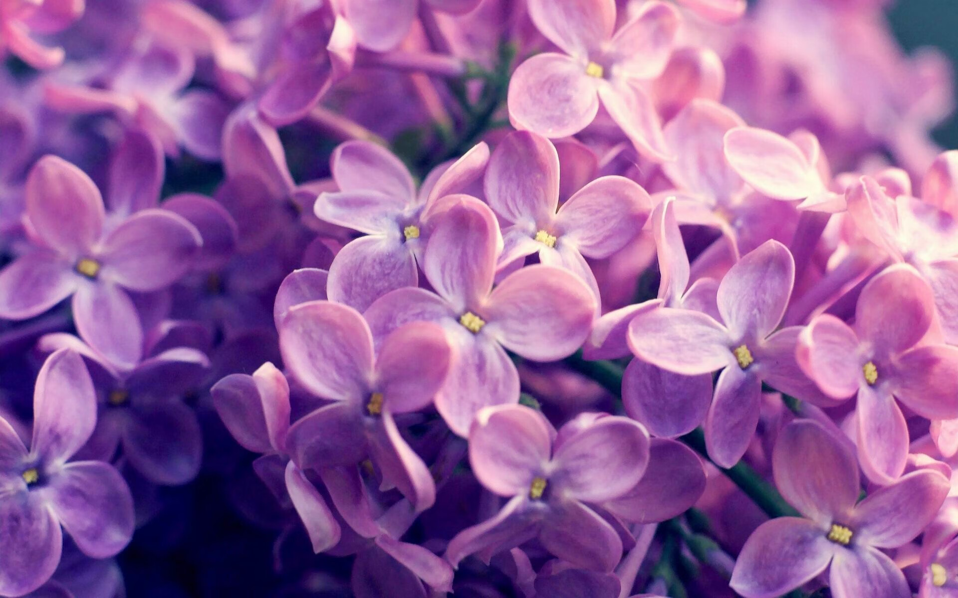 卡昂凭借前场高压掌控比赛节奏，卡昂位置