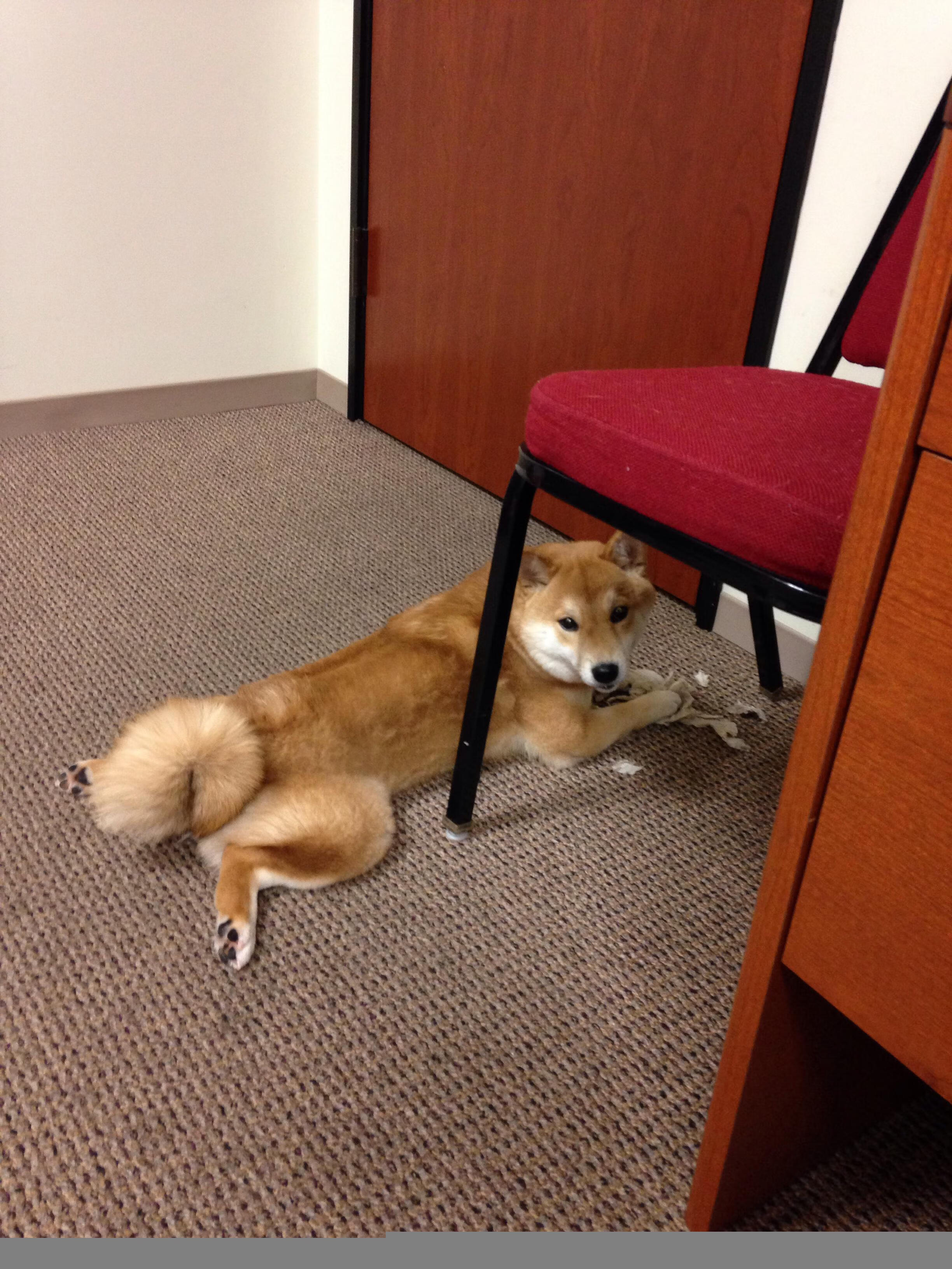 卡昂凭借前场高压掌控比赛节奏，卡昂位置