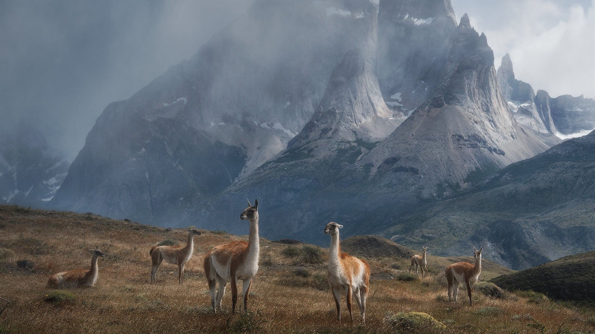 慢节奏比赛是否有利于限制核心球员爆发，慢节奏类型的是