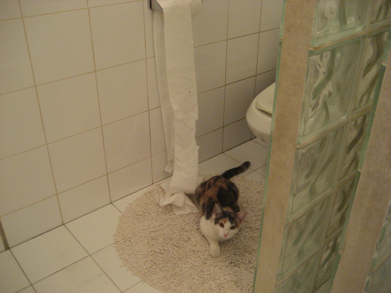 中国足球青少年足球发展基金支持多地项目建设,中国青少年足球发展规划纲要