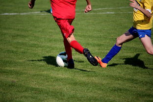 九游官网入口活动-体育文化节活动预告，体育文化节活动流程