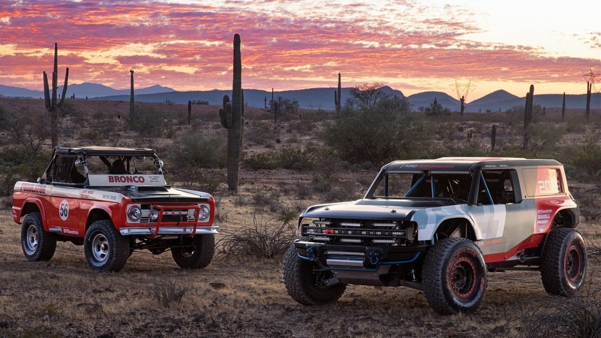 唐纳德·高尔凭借个人能力助袋鼠队完成关键进攻，唐纳德高斯简介