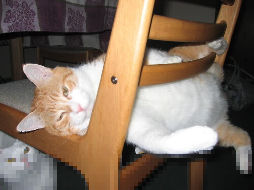 国际青少年足球培训体系深化，青少年球员全球交流频繁，国家青少年足球