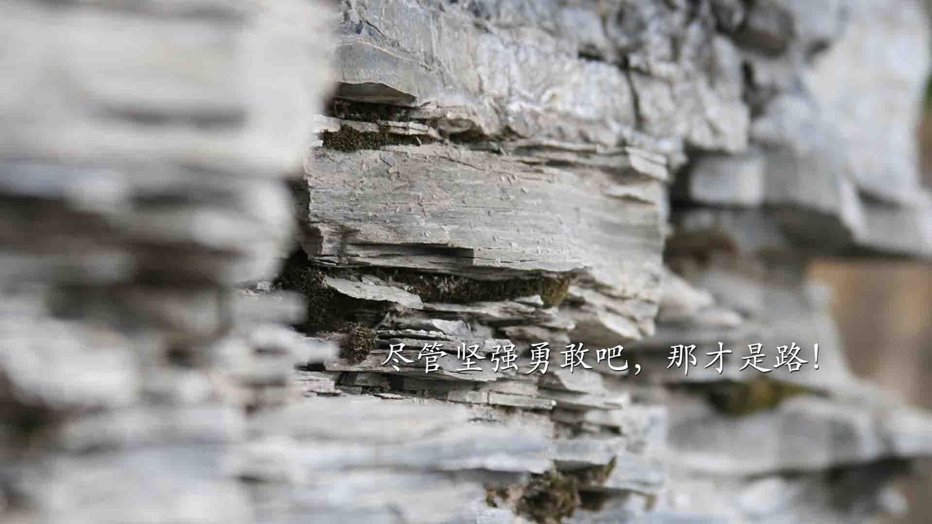 塞尔·拉恩：全黑队的反击王，突破后迅速寻找机会，创造得分机会