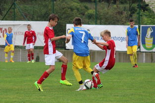 九游娱乐官方平台-塞尔维亚实力不断提升，期待在国际大赛中突破